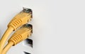 Close up of Network switch, cables Royalty Free Stock Photo