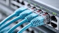 Close-up of a network switch with connected blue ethernet cables. Royalty Free Stock Photo