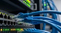 Close-up of Network Switch with Ethernet Cables Connected for Data Transfer Royalty Free Stock Photo
