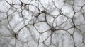 Close-up of neurons, neural network, nervous system, detail intricate of connections background