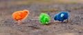 close up new born chicken red, green, blue Royalty Free Stock Photo