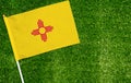 Close-up of New Mexico flag against closed up view of grass