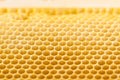 Close up of new natural honey bee comb Royalty Free Stock Photo