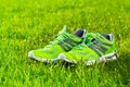 Close up new pairs of green running shoes / sneaker shoes on green grass field in the park