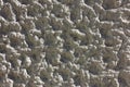 Close-up of a new wall covered with rough decorative plaster Royalty Free Stock Photo