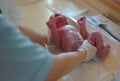 Close-up of newborn asian chinese baby right after delivery on weighing scale Royalty Free Stock Photo