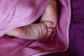 Close-up of newborn babie`s feets, pink rough feets Royalty Free Stock Photo