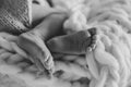 Close up on newborn baby feet Royalty Free Stock Photo