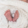 Newborn baby feet covered in plush lining blanket Royalty Free Stock Photo