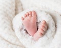 Newborn baby feet covered in plush lining blanket Royalty Free Stock Photo