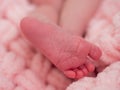 Close up of newborn baby feet covered with the blanket Royalty Free Stock Photo