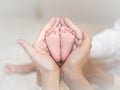 Close up of newborn baby feet on female hands Royalty Free Stock Photo