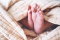 Close-up of newborn baby feet wrapped in blanket. Tiny legs of new born child Royalty Free Stock Photo