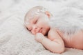 Close up on newborn baby girl, angel wings Royalty Free Stock Photo