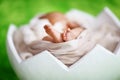 Close-up newborn baby with tiny fingers of cute little legs of a in a soft beige scarf, in a shell of Easter eggs concept of love, Royalty Free Stock Photo