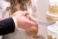 Close-up of a newlywed couple`s hands cutting their wedding cake. Royalty Free Stock Photo