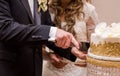 Close-up of a newlywed couple`s hands cutting their wedding cake. Royalty Free Stock Photo