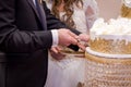 Close-up of a newlywed couple`s hands cutting their wedding cake. Royalty Free Stock Photo