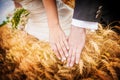 Close up of newlyweds' hands with wedding rings over ears of whe Royalty Free Stock Photo