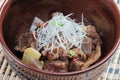 Close-up Nikujaga including beef, potato and radish stew topping with sliced radish and scallion in brown ceramic bowl on makisu. Royalty Free Stock Photo