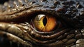 Close up of Nile crocodile Crocodylus niloticus eye in sunshine. generative ai Royalty Free Stock Photo