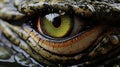 Close up of Nile crocodile Crocodylus niloticus eye in sunshine. generative ai