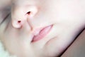 Newborn baby nose and mouth Royalty Free Stock Photo