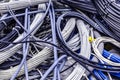 Close up not packed tangled wires abstract background. Untidy coil of lan, power, network, optic and telephone cables in