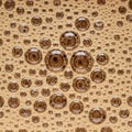 Close-up of numerous small bubbles on a liquid surface, creating a textured pattern. Royalty Free Stock Photo