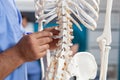 Close up of nurse pointing at spine bones on human skeleton Royalty Free Stock Photo