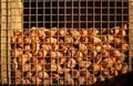 Close up of nuts in a red squirrel feeder attached to a tree in a woodland