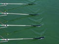 Close up oars of quadruple skulls rowing team Royalty Free Stock Photo