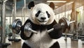 Obese Giant Panda Bear Lifting Weights in Order to Lose Weight - Generative Ai