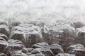 Close up oblique angle of empty plastic bottles