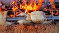 Close-up observation of chicken injected on the grill. Spinning grill with whole marinated chicken is light blue. The heady scent