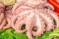 octopus, natural seafood, healthy organic food