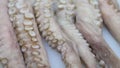 Close-up of an octopus. Panorama of the octopus tentacles. Preparation for cooking. Seafood. Fine cuisine in an elite