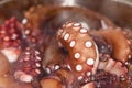 Close up of octopus tentacles baking