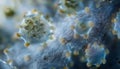 Detailed microscopic view of virus structures showcasing features and texture during pandemic analysis Royalty Free Stock Photo