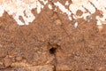 Close-up of an old adobe wall Royalty Free Stock Photo
