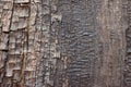 Close up of old ancient cracked wood texture, can be used as Background or Wallpaper Royalty Free Stock Photo