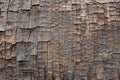 Close up of old ancient cracked wood texture, can be used as Background or Wallpaper Royalty Free Stock Photo