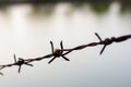 Close up old barbed wire fence and ant Royalty Free Stock Photo