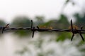 Close up old barbed wire fence and ant Royalty Free Stock Photo