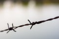 Close up old barbed wire fence Royalty Free Stock Photo