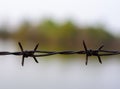 Close up old barbed wire fence Royalty Free Stock Photo