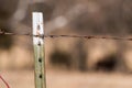 Close up of old barbed wire fence post Royalty Free Stock Photo