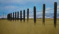 CLOSE UP: Old barbed wire fence runs around a golden grassfield in Montana. Royalty Free Stock Photo