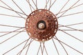 Close up of Old bicycle gear rusted object isolated on white Royalty Free Stock Photo