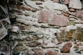 Close up old brick texture lichen wall concept photo. Palm tree trunk of the wall background photo.